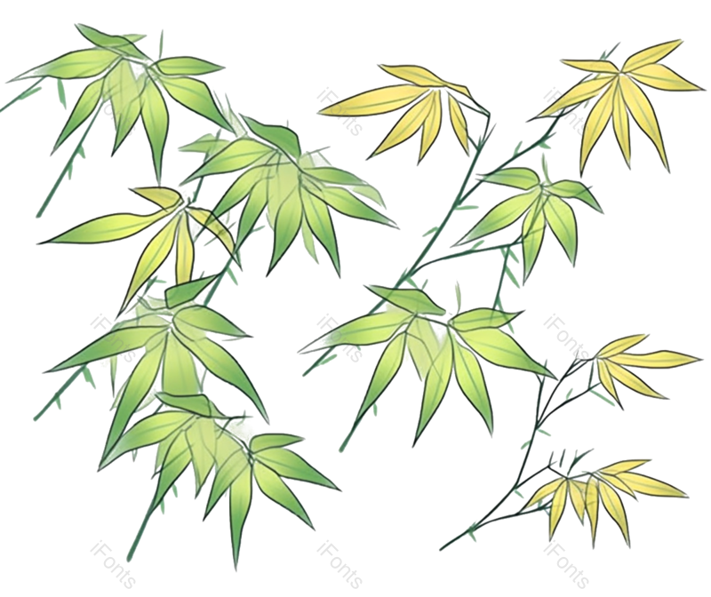 叶子图片,边框元素,纹理PNG,元素免抠素材